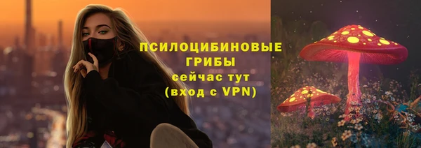мяу мяу мука Верхний Тагил