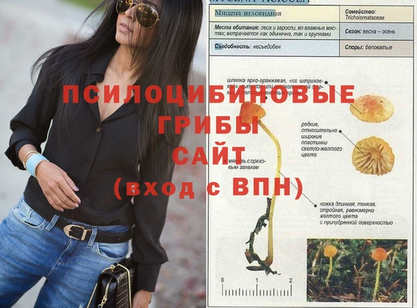 мяу мяу мука Верхний Тагил
