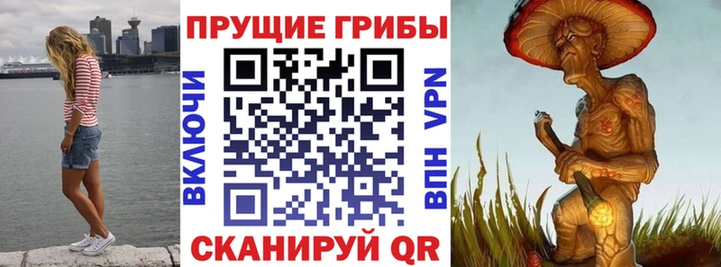 Купить  Красноуральск  Галлюциногенные грибы ЛСД 